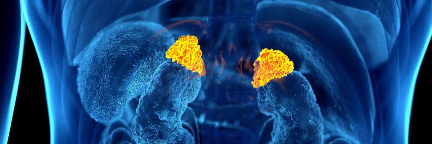 header_importancia_regular_cortisol