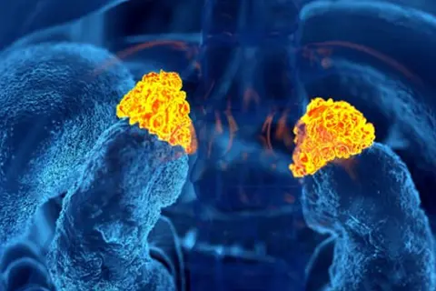 header_importancia_regular_cortisol