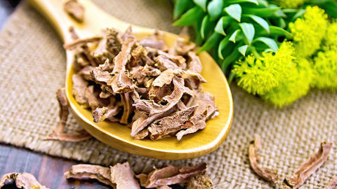 Rhodiola_rosea